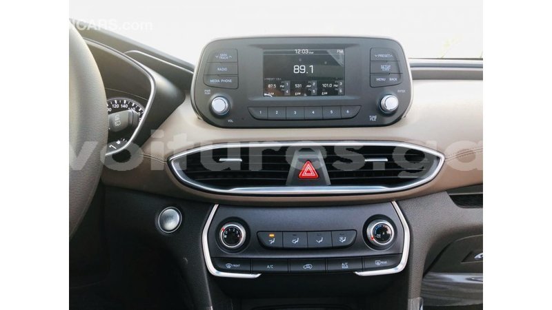 Big with watermark hyundai santa fe estuary import dubai 7043