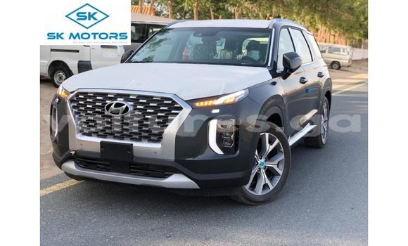 Acheter Import Utilitaire Hyundai Chorus Autre à Import - Dubai, Estuaire