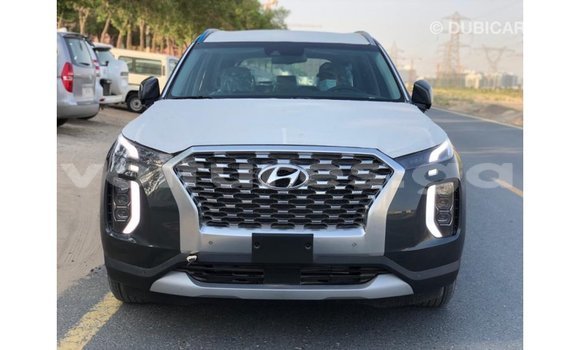 Buy Import Hyundai Chorus Other Truck in Import - Dubai in Estuary Buy Import Hyundai Chorus Other Truck in Import - Dubai in Estuary
