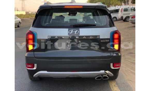 Buy Import Hyundai Chorus Other Truck in Import - Dubai in Estuary Buy Import Hyundai Chorus Other Truck in Import - Dubai in Estuary