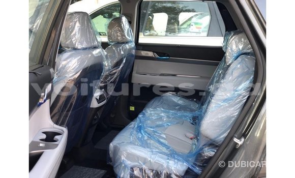 Buy Import Hyundai Chorus Other Truck in Import - Dubai in Estuary Buy Import Hyundai Chorus Other Truck in Import - Dubai in Estuary