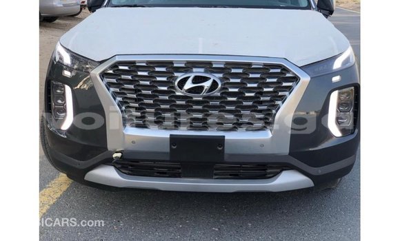 Buy Import Hyundai Chorus Other Truck in Import - Dubai in Estuary Buy Import Hyundai Chorus Other Truck in Import - Dubai in Estuary