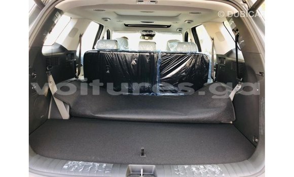 Buy Import Hyundai Chorus Other Truck in Import - Dubai in Estuary Buy Import Hyundai Chorus Other Truck in Import - Dubai in Estuary