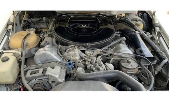 Acheter Import Voiture Mercedes-Benz 190 Blanc à Import - Dubai, Estuaire Acheter Import Voiture Mercedes-Benz 190 Blanc à Import - Dubai, Estuaire