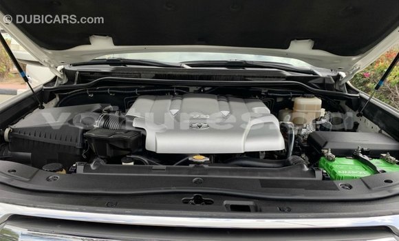 Acheter Import Voiture Toyota Land Cruiser Blanc à Import - Dubai, Estuaire Acheter Import Voiture Toyota Land Cruiser Blanc à Import - Dubai, Estuaire