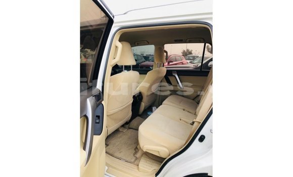 Buy Import Toyota Prado White Car in Import - Dubai in Estuary Buy Import Toyota Prado White Car in Import - Dubai in Estuary