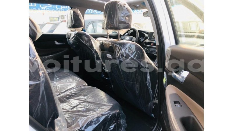 Big with watermark hyundai santa fe estuary import dubai 7128