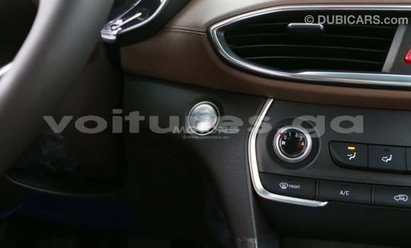 Buy Import Hyundai Santa Fe Brown Car in Import - Dubai in Estuary Buy Import Hyundai Santa Fe Brown Car in Import - Dubai in Estuary