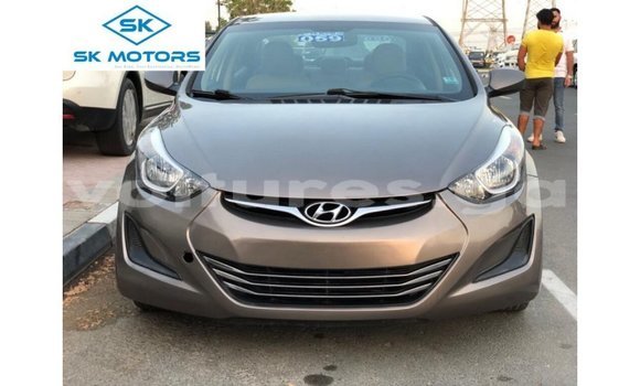 Acheter Import Voiture Hyundai Elantra Marron à Import - Dubai, Estuaire