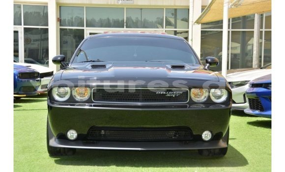 Acheter Import Voiture Dodge Challenger Noir à Import - Dubai, Estuaire