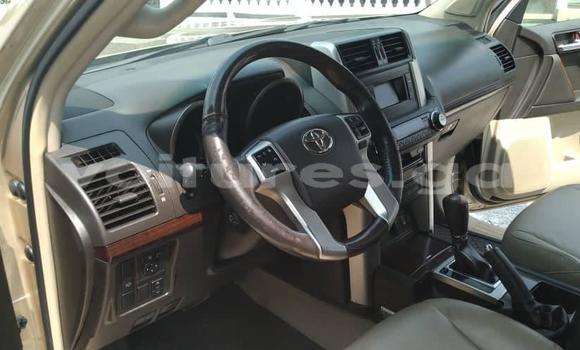 Sayi Na hannu Toyota Prado Brown Mota in Libreville a estuary Sayi Na hannu Toyota Prado Brown Mota in Libreville a estuary