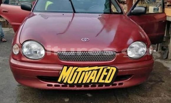 Acheter Occasion Voiture Toyota Corolla Rouge à Bitam, Woleu-Ntem Acheter Occasion Voiture Toyota Corolla Rouge à Bitam, Woleu-Ntem