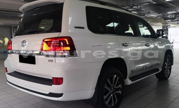 Buy Used Toyota Land Cruiser White Car in Gamba in Ogooue-Maritime Buy Used Toyota Land Cruiser White Car in Gamba in Ogooue-Maritime