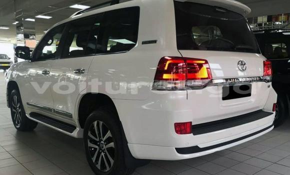 Buy Used Toyota Land Cruiser White Car in Gamba in Ogooue-Maritime Buy Used Toyota Land Cruiser White Car in Gamba in Ogooue-Maritime