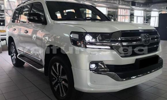 Buy Used Toyota Land Cruiser White Car in Gamba in Ogooue-Maritime Buy Used Toyota Land Cruiser White Car in Gamba in Ogooue-Maritime