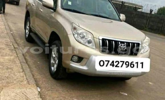 Acheter Occasion Voiture Toyota Land Cruiser Prado Marron à Libreville, Estuaire Acheter Occasion Voiture Toyota Land Cruiser Prado Marron à Libreville, Estuaire