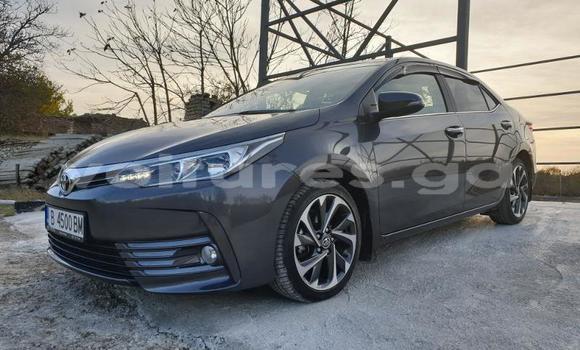Buy Used Toyota Corolla Other Car in Bitam in Woleu-Ntem Buy Used Toyota Corolla Other Car in Bitam in Woleu-Ntem