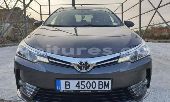 Buy Used Toyota Corolla Other Car in Bitam in Woleu-Ntem Buy Used Toyota Corolla Other Car in Bitam in Woleu-Ntem