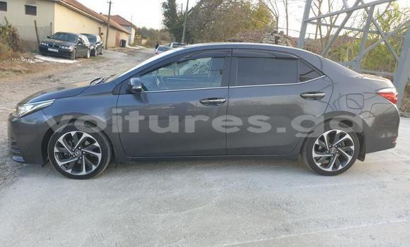 Buy Used Toyota Corolla Other Car in Bitam in Woleu-Ntem Buy Used Toyota Corolla Other Car in Bitam in Woleu-Ntem