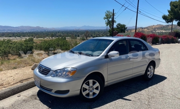 Acheter Occasion Voiture Toyota Corolla Gris à Lambaréné, Nyanga Acheter Occasion Voiture Toyota Corolla Gris à Lambaréné, Nyanga