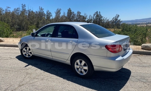 Acheter Occasion Voiture Toyota Corolla Gris à Lambaréné, Nyanga Acheter Occasion Voiture Toyota Corolla Gris à Lambaréné, Nyanga