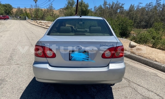 Acheter Occasion Voiture Toyota Corolla Gris à Lambaréné, Nyanga Acheter Occasion Voiture Toyota Corolla Gris à Lambaréné, Nyanga