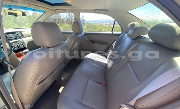 Acheter Occasion Voiture Toyota Corolla Gris à Lambaréné, Nyanga Acheter Occasion Voiture Toyota Corolla Gris à Lambaréné, Nyanga