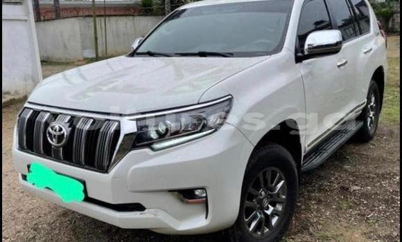 Acheter Occasion Voiture Toyota Prado Blanc à Libreville, Estuaire Acheter Occasion Voiture Toyota Prado Blanc à Libreville, Estuaire