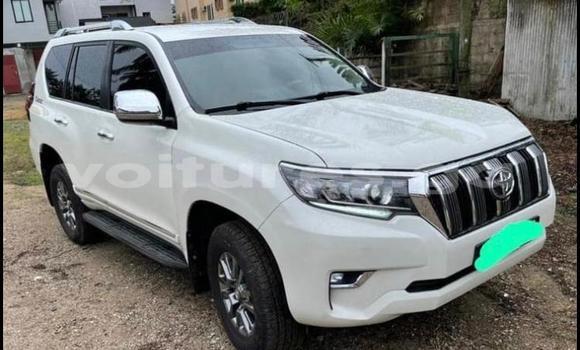 Acheter Occasion Voiture Toyota Prado Blanc à Libreville, Estuaire Acheter Occasion Voiture Toyota Prado Blanc à Libreville, Estuaire