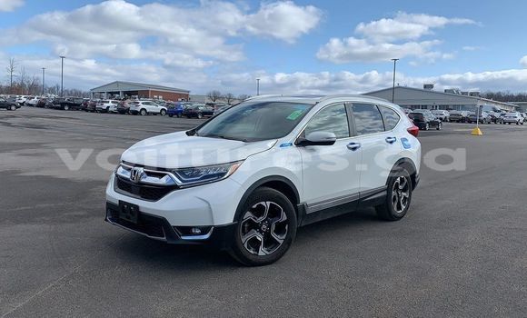 Buy Used Hyundai Tiburon White Car in Lastoursville in Ogooue-Lolo Buy Used Hyundai Tiburon White Car in Lastoursville in Ogooue-Lolo