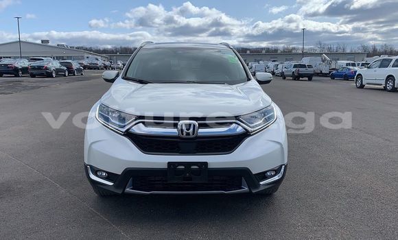 Buy Used Hyundai Tiburon White Car in Lastoursville in Ogooue-Lolo Buy Used Hyundai Tiburon White Car in Lastoursville in Ogooue-Lolo