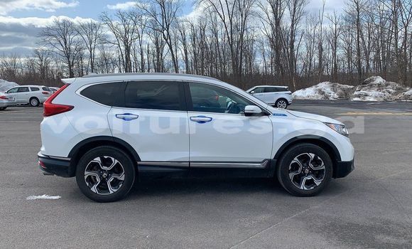 Buy Used Hyundai Tiburon White Car in Lastoursville in Ogooue-Lolo Buy Used Hyundai Tiburon White Car in Lastoursville in Ogooue-Lolo