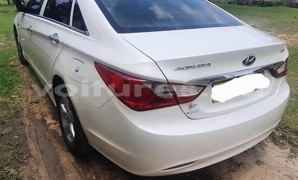 Acheter Occasion Voiture Hyundai Sonata Blanc à Libreville, Estuaire Acheter Occasion Voiture Hyundai Sonata Blanc à Libreville, Estuaire