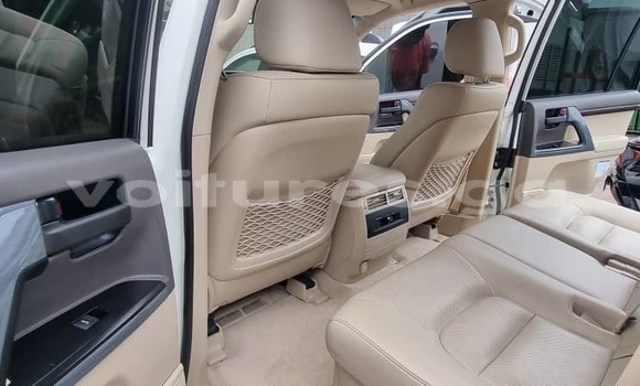 Sayi Imported Toyota Land Cruiser White Mota in Libreville a estuary Sayi Imported Toyota Land Cruiser White Mota in Libreville a estuary