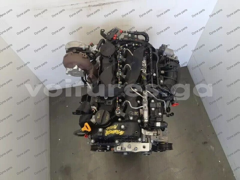 Big with watermark 4