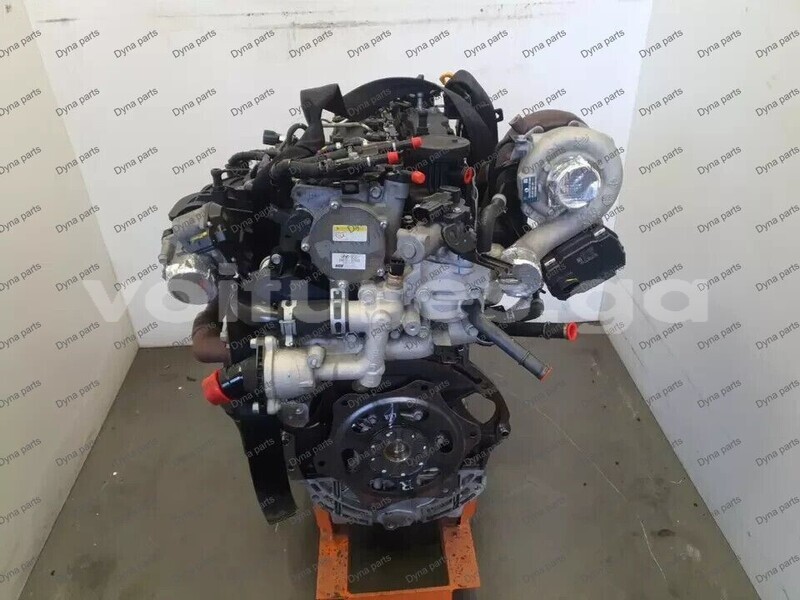 Big with watermark 6