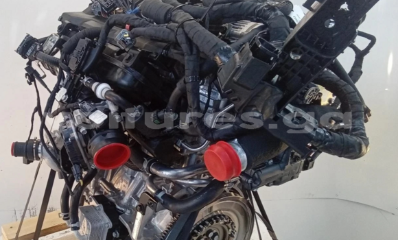 Medium with watermark s l16002