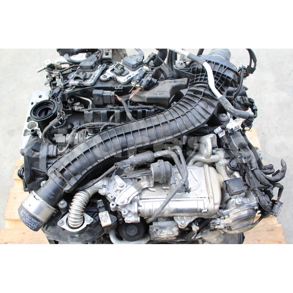 Big with watermark s l16000