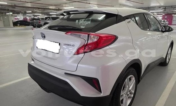 Buy Used Toyota C-HR White Car in Libreville in Estuary Buy Used Toyota C-HR White Car in Libreville in Estuary