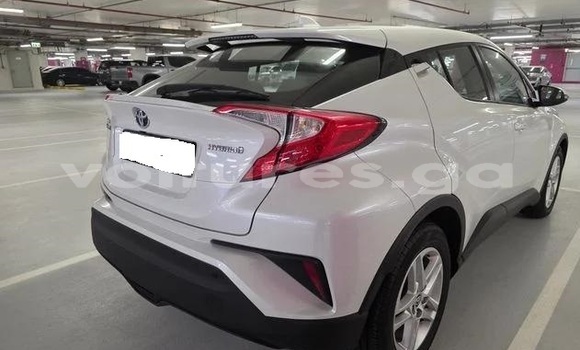 Buy Used Toyota C-HR White Car in Libreville in Estuary Buy Used Toyota C-HR White Car in Libreville in Estuary