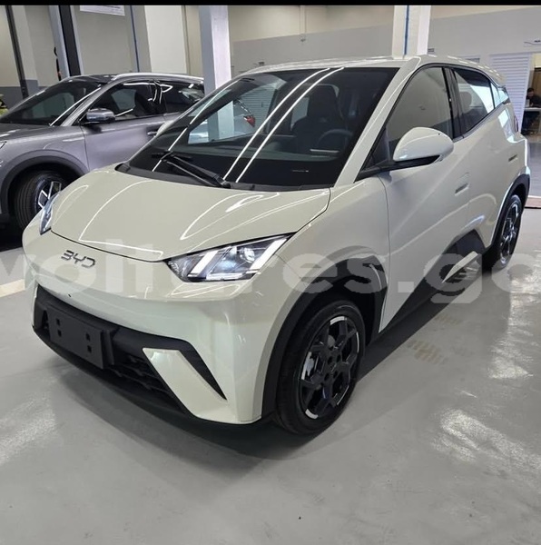 Big with watermark byd s6 estuaire libreville 8286