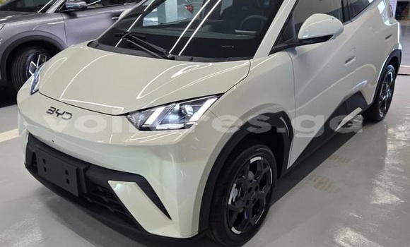 Acheter Occasion Voiture BYD S6 Blanc à Libreville, Estuaire