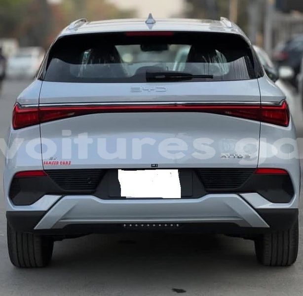 Big with watermark byd f3 haut ogooue lekoni 8320