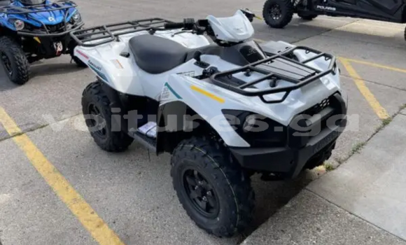 Sayi Sabo Kawasaki Brute Force White Motsi in Kango a estuary