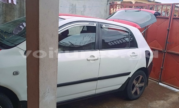 Acheter Occasion Voiture Toyota Corolla Blanc à Libreville, Estuaire