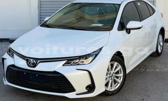Acheter Occasion Voiture Toyota Corolla Blanc à Libreville, Estuaire