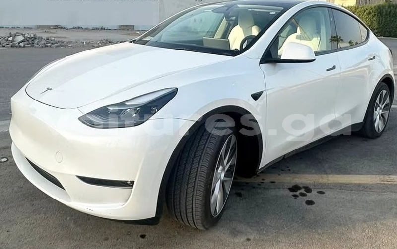 Big with watermark tesla model x estuaire libreville 8360