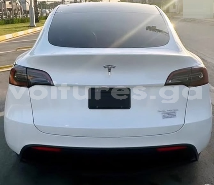 Big with watermark tesla model x estuaire libreville 8360