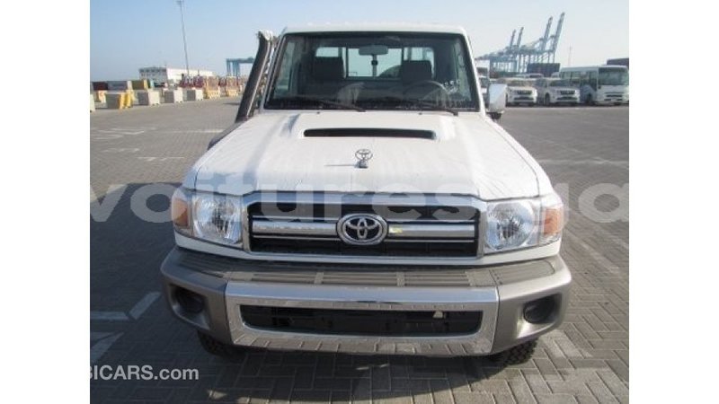 Big with watermark d55037a7 4df6 4827 8703 18a79615862b