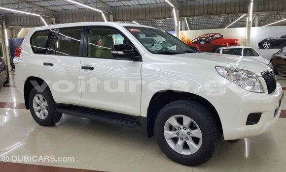 Acheter Import Voiture Toyota Prado Blanc à Import - Dubai, Estuaire Acheter Import Voiture Toyota Prado Blanc à Import - Dubai, Estuaire